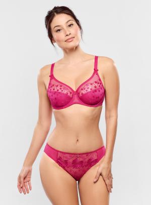 Brief TESS Rose Samba